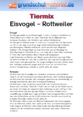 Eisvogel - Rottweiler.pdf